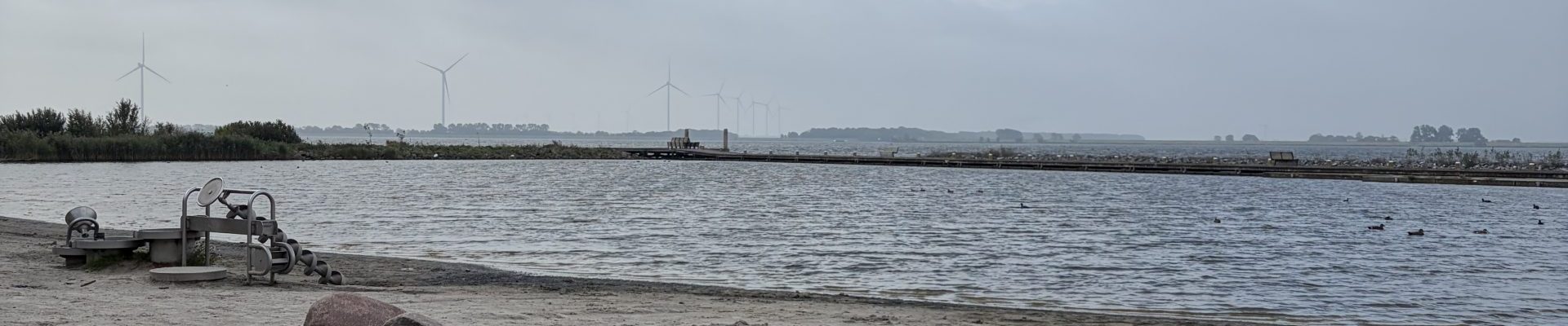 IMG_9542